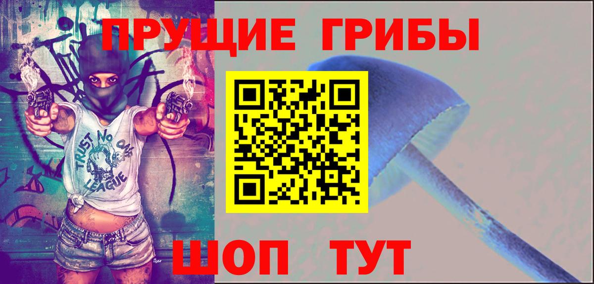 Грязи  Псилоцибиновые грибы MAGIC MUSHROOMS  Вход с VPN 