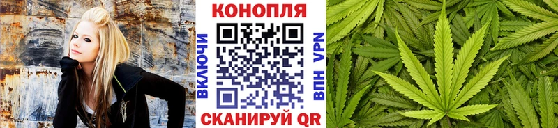 купить   Грязи  Каннабис MAZAR 